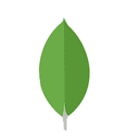 MongoDB logo